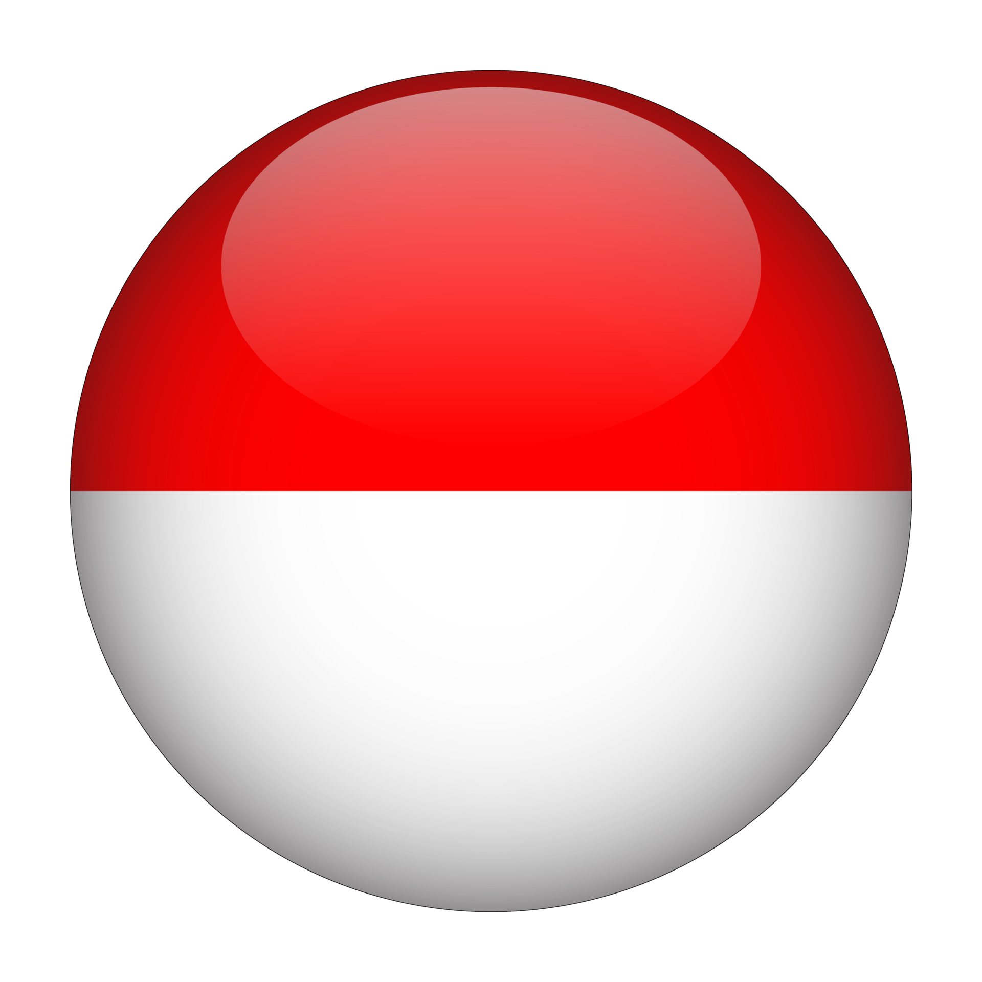 Indonesia Flag